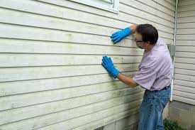 Best Historical Building Siding Restoration  in Allen, TX